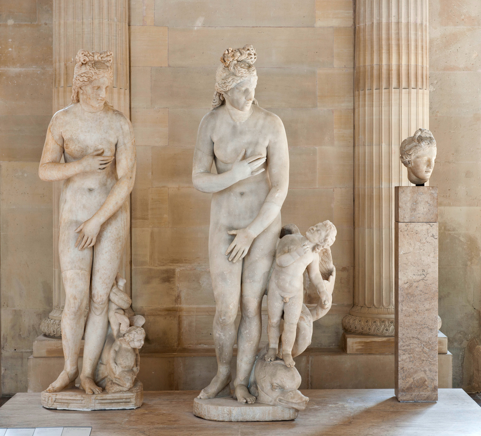 Aphrodite du type de la Vénus du Capitole