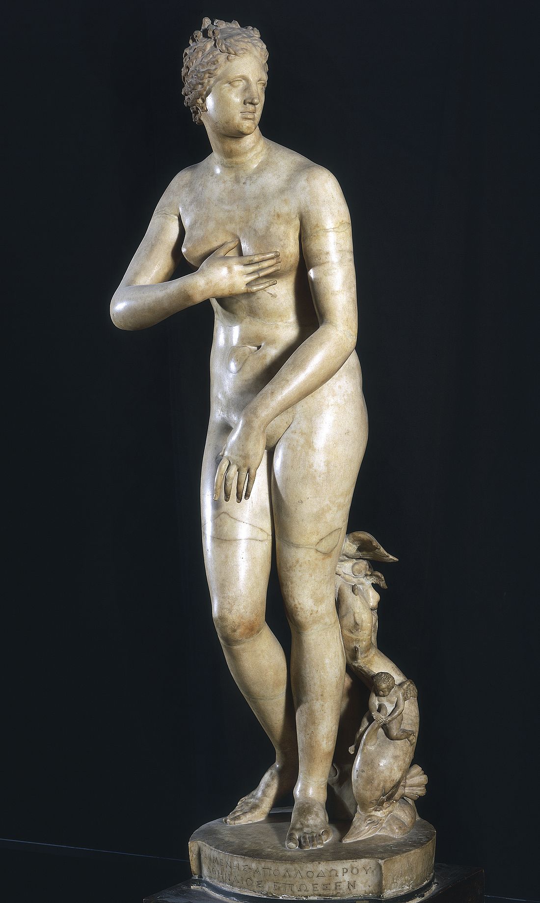 Vénus Médicis Vénus Médicis