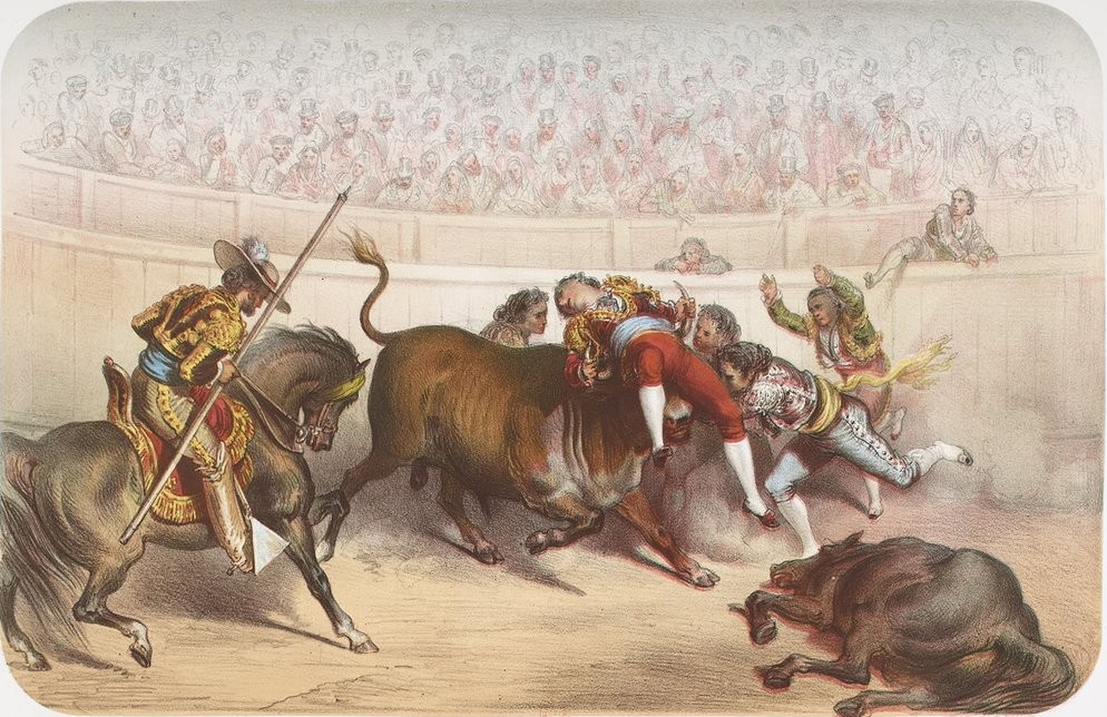 Torero enlevé par le taureau Torero enlevé par le taureau