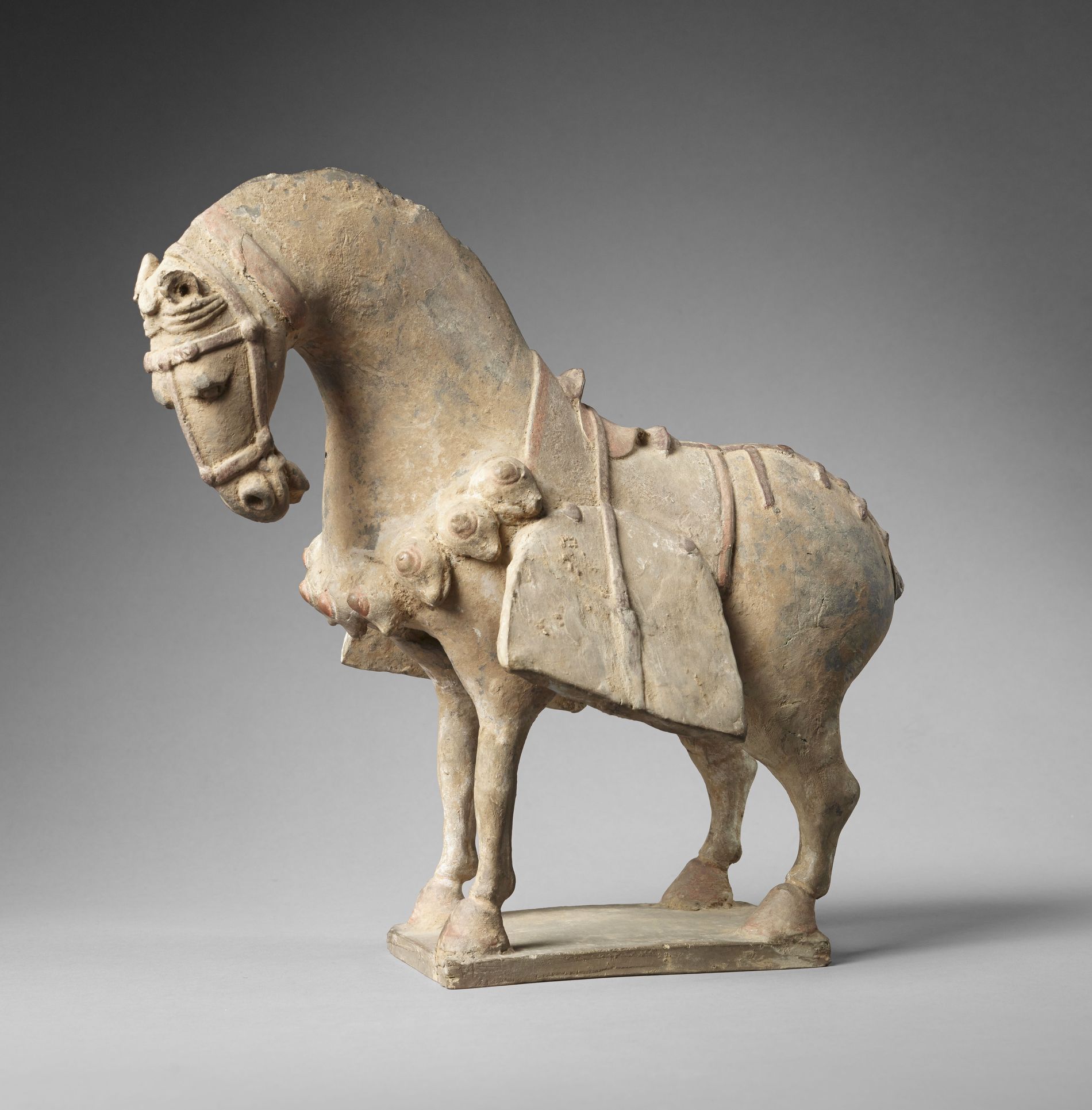 Cheval sellé Cheval sellé