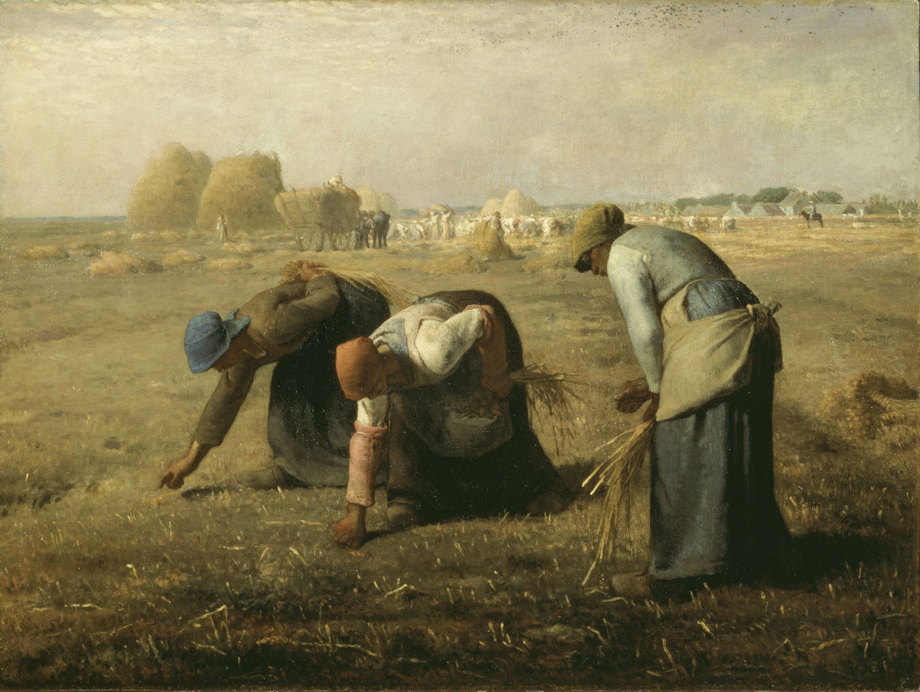 Des Glaneuses Des Glaneuses