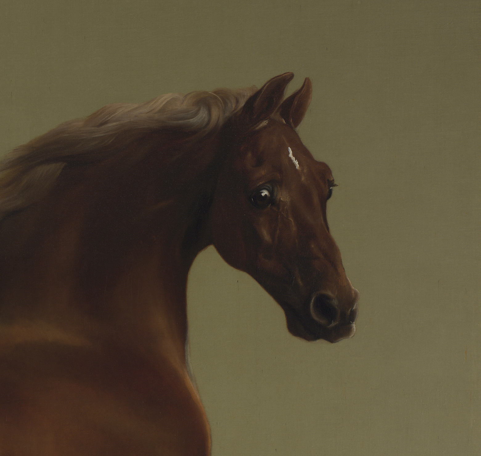 Whistlejacket