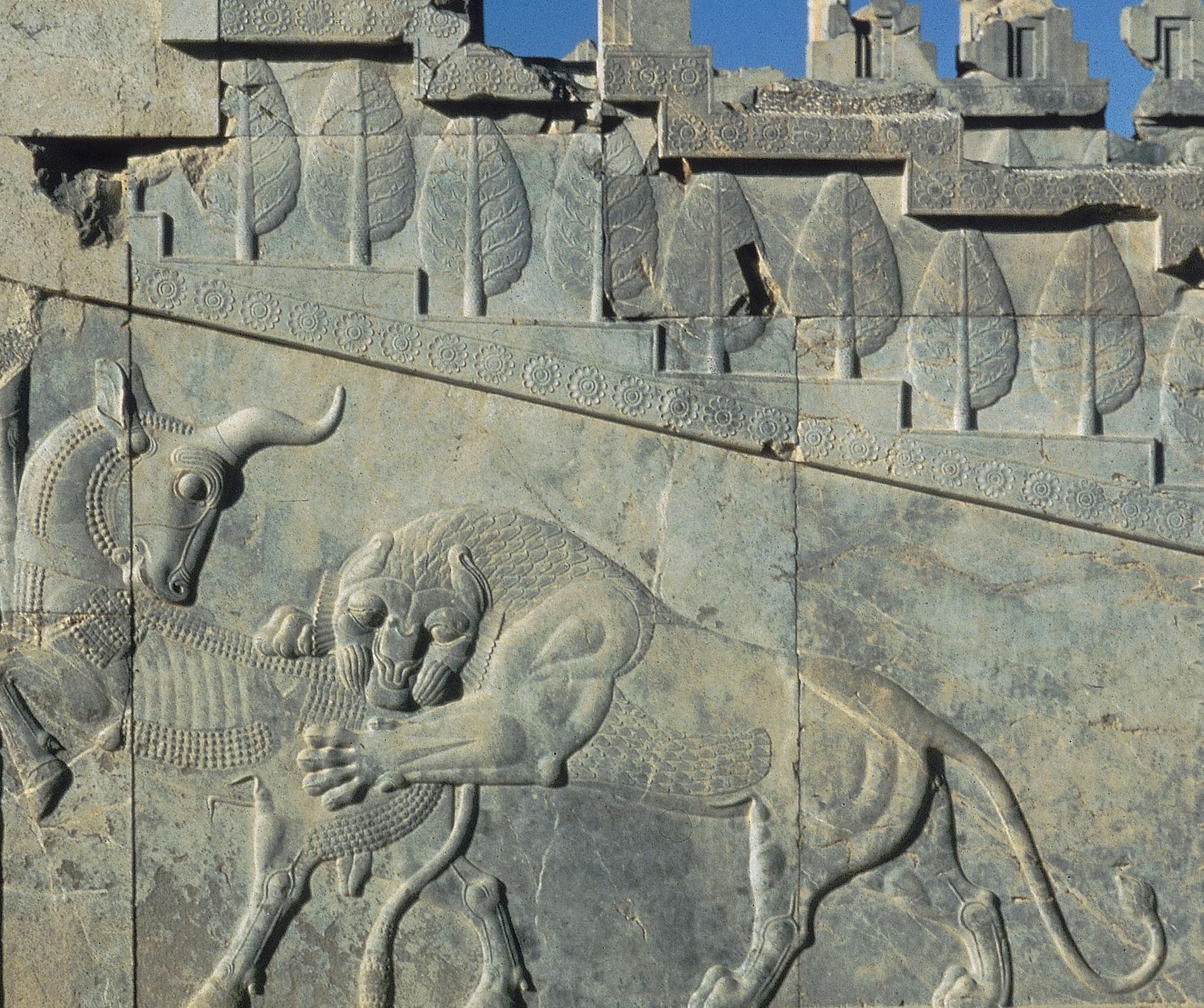 Apadana du palais de Darius Apadana du palais de Darius