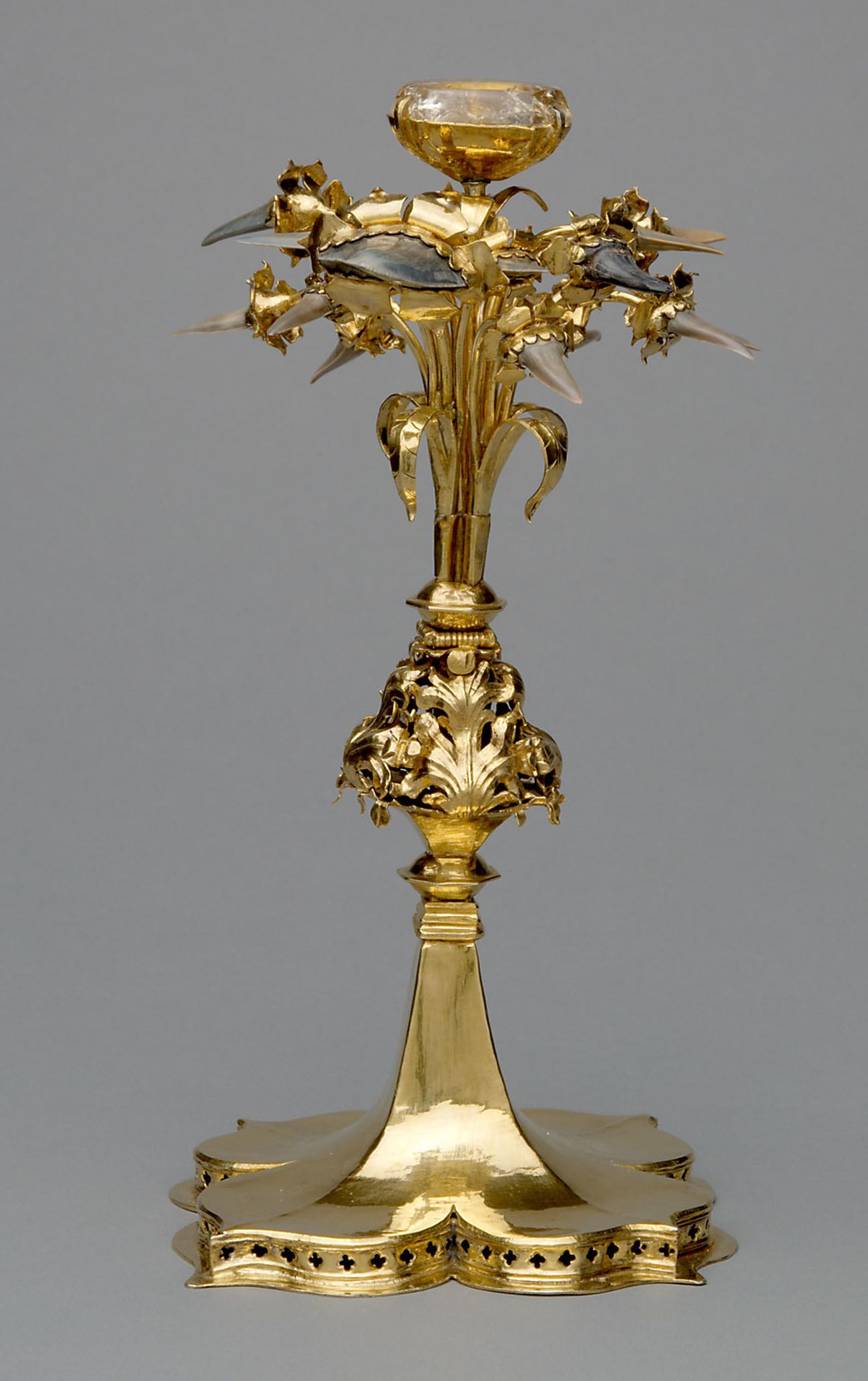 Languier dit aussi Langue de vipère