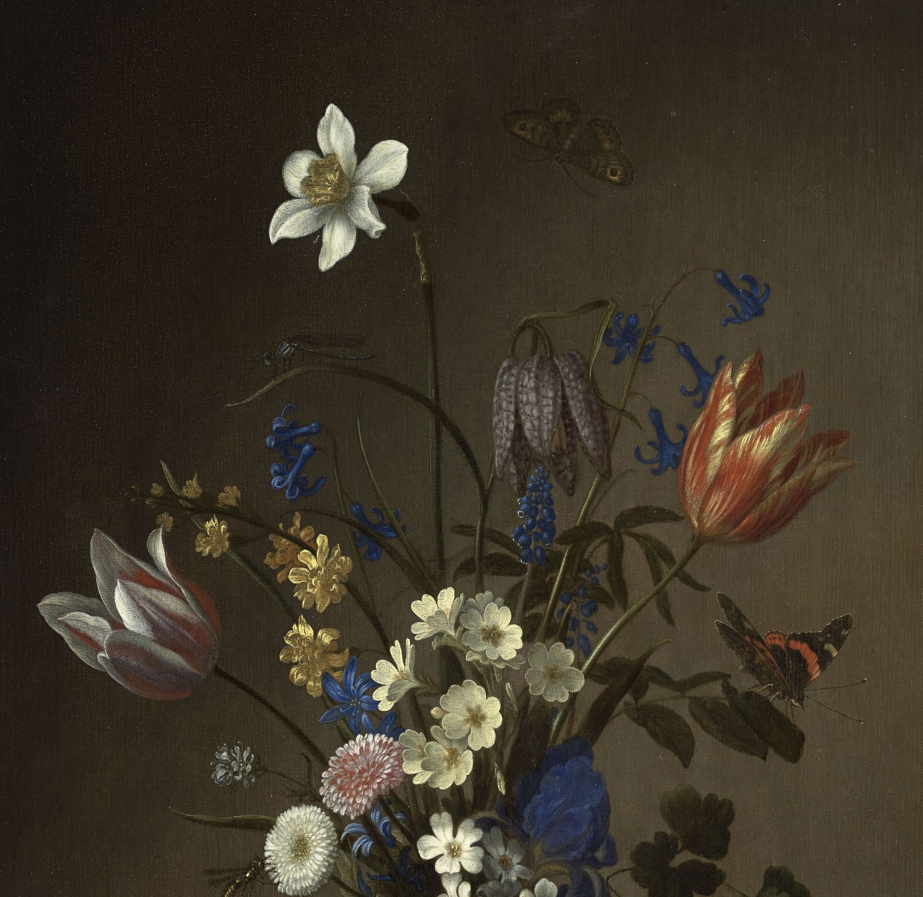 Fleurs dans une coupe en verre, coquillages, papillons et sauterelle