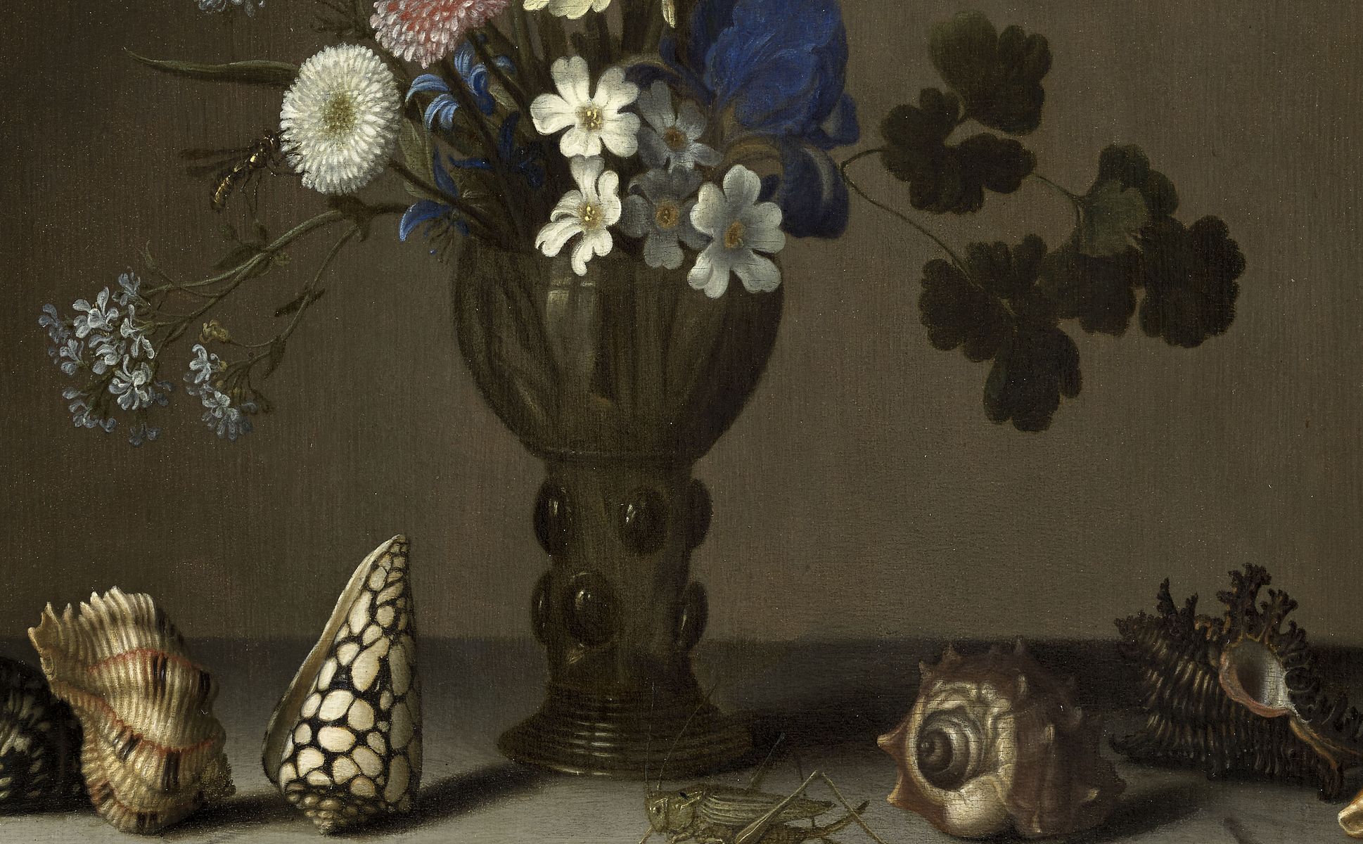 Fleurs dans une coupe en verre, coquillages, papillons et sauterelle