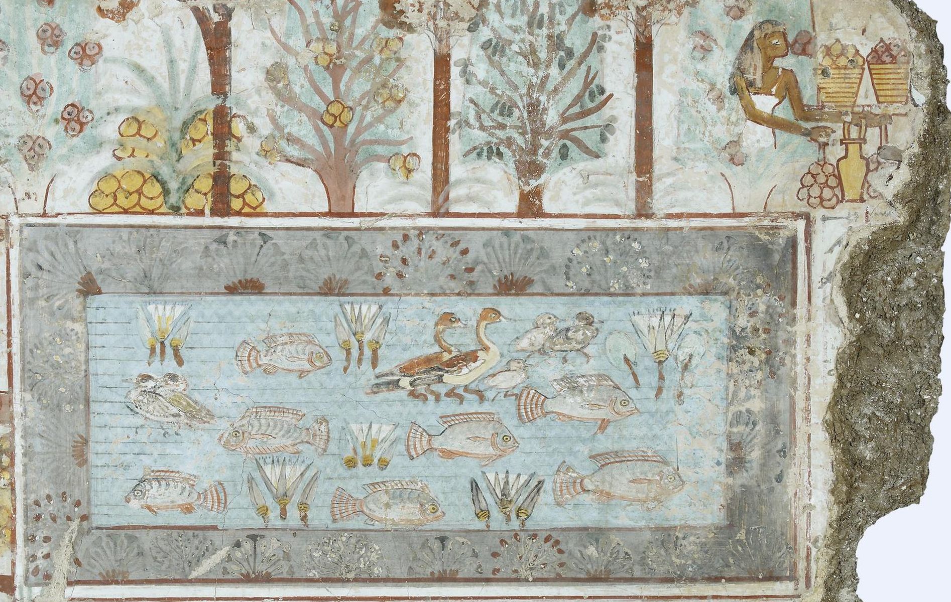 Palmiers dattiers, sycomores et mandragores. Bassin avec des poissons et des canards