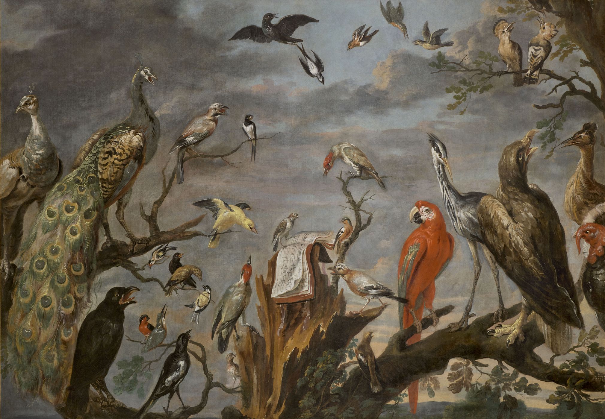 Oiseaux chantant avec une partition ou concert d'oiseaux Oiseaux chantant avec une partition ou concert d'oiseaux