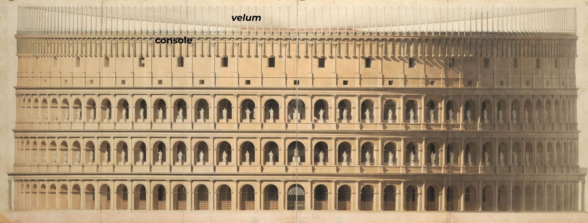 Le Colisée. Reconstitution, élévation sur le petit axe