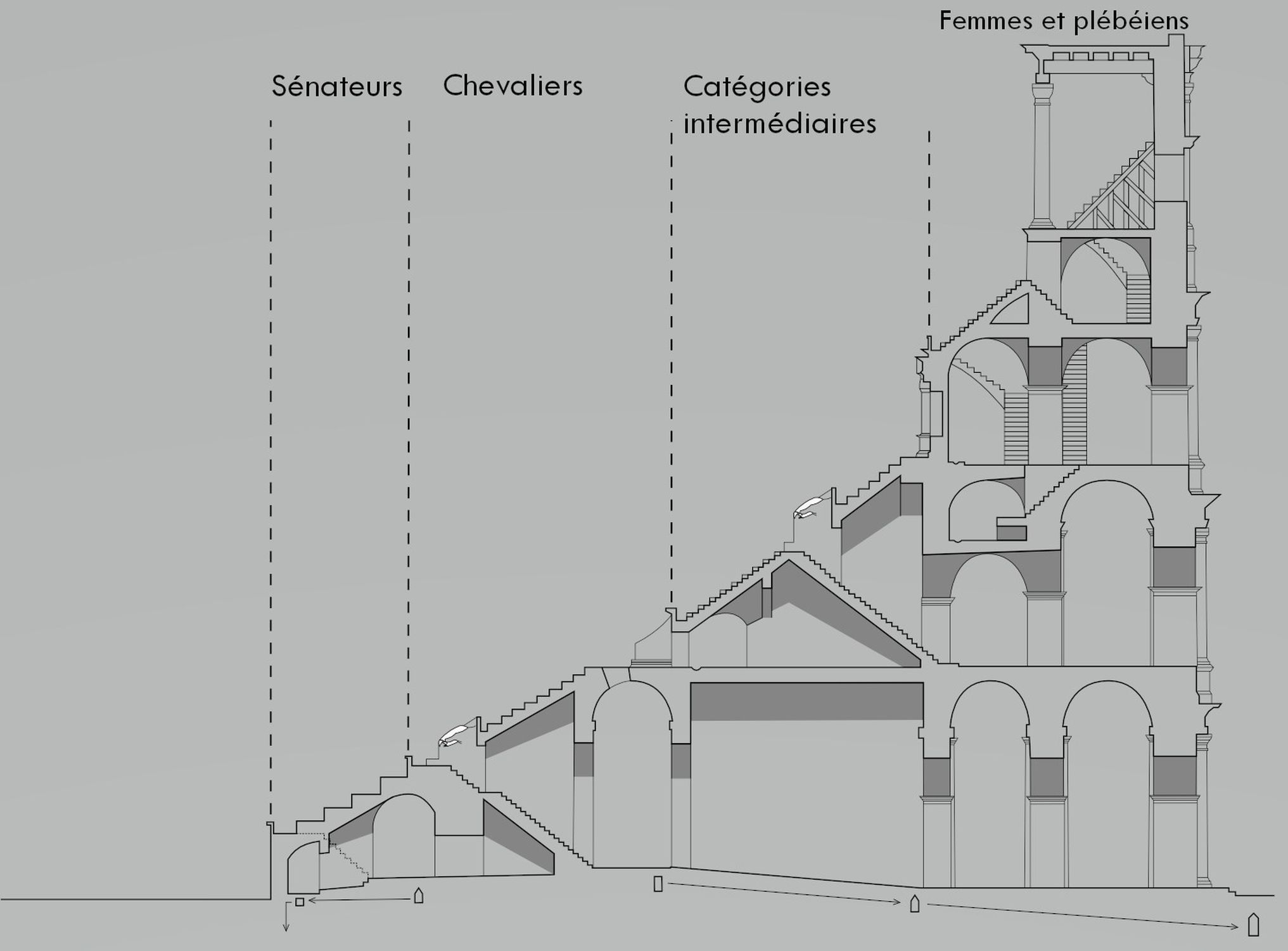 Plan en coupe des tribunes du Colisée de Rome avec indication de la répartition des spectateurs selon leur catégorie sociale