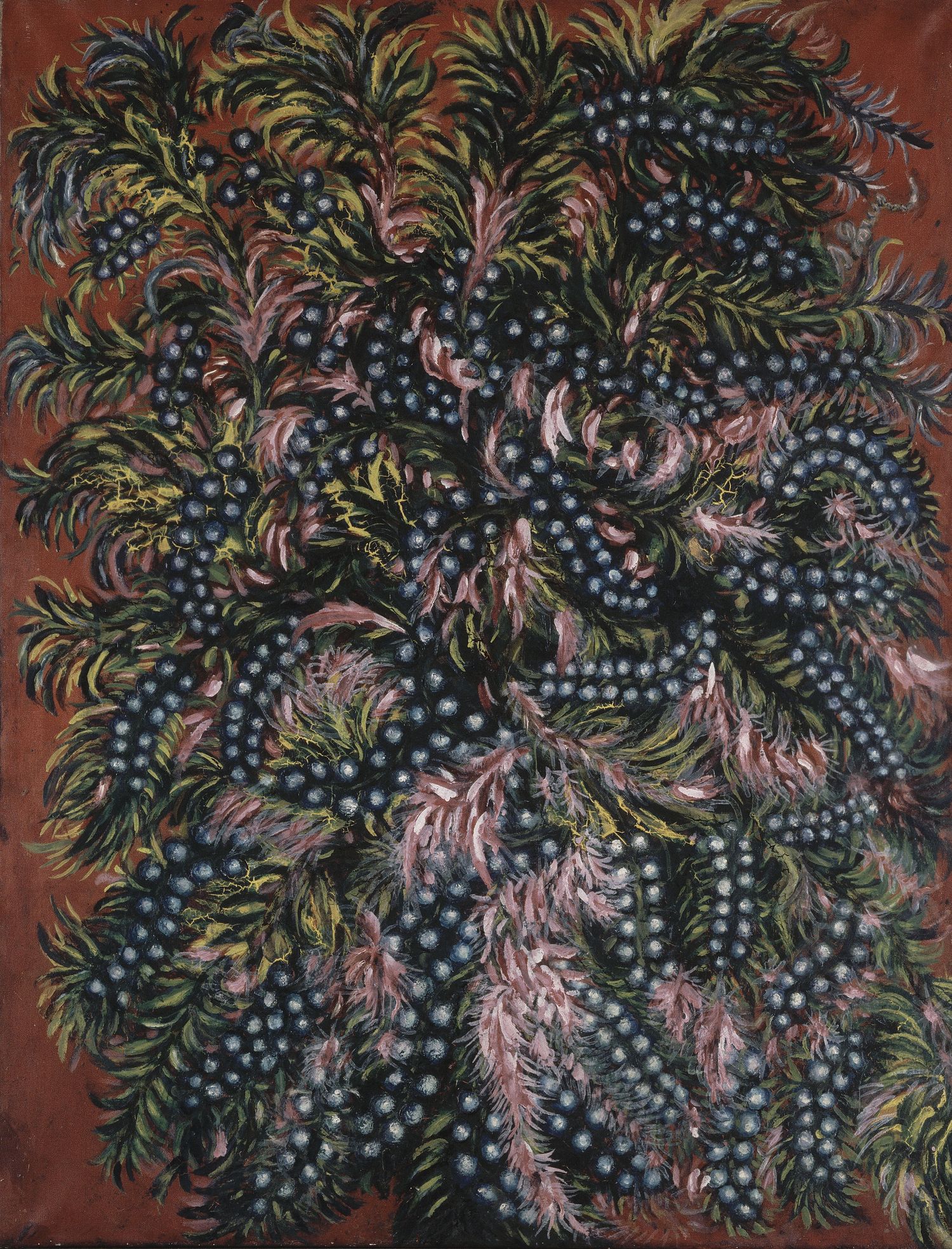 Fleurs