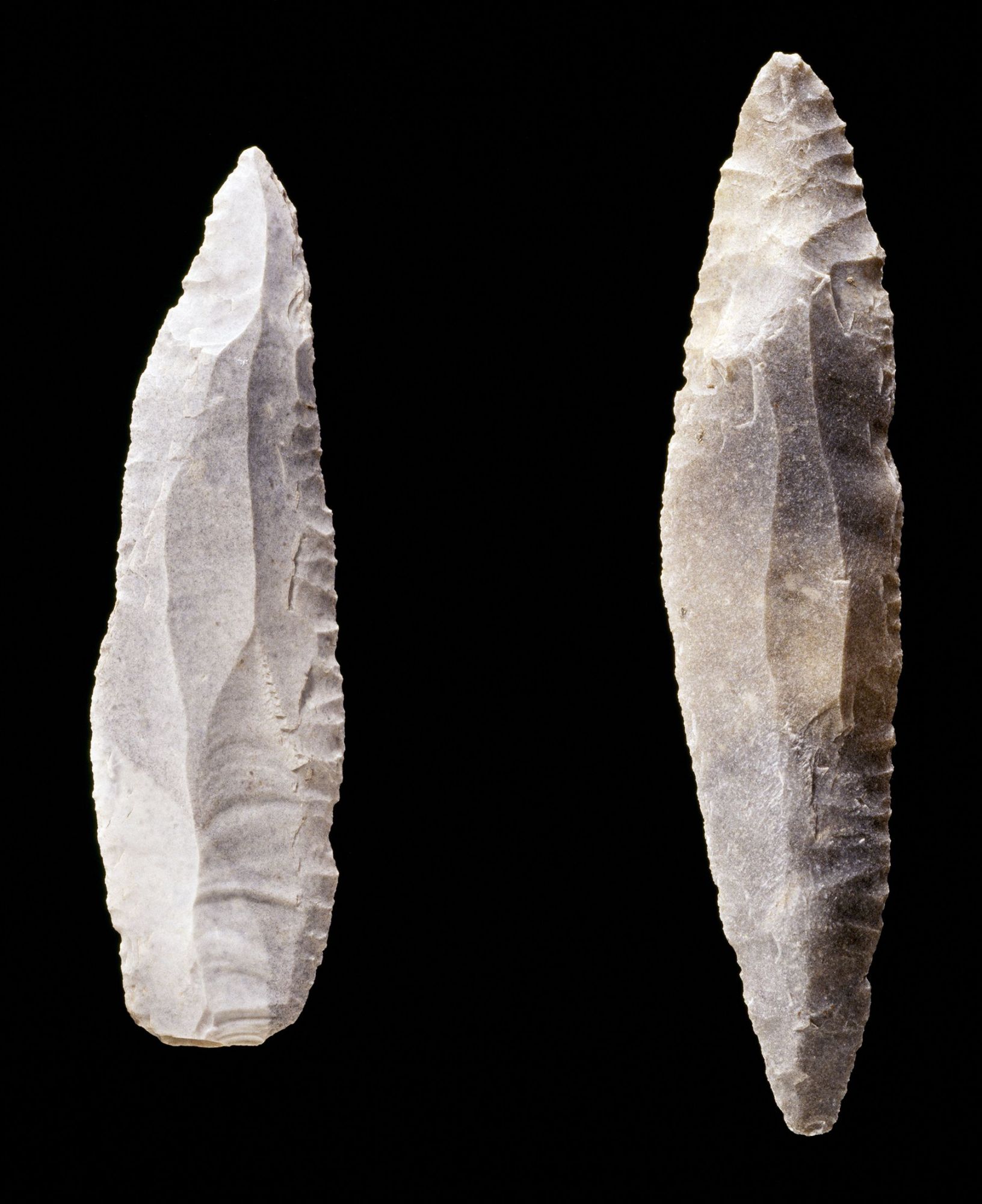 Pointes à face plane