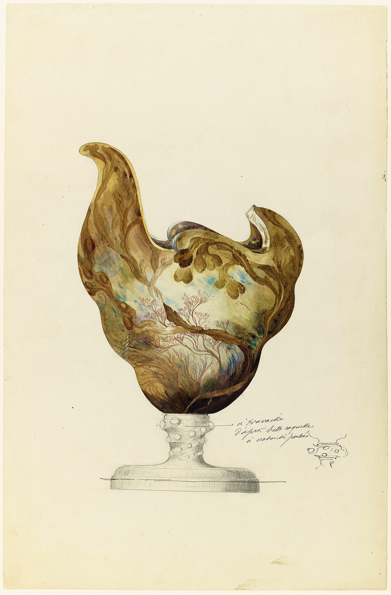 Modèle de vase en forme de nautile et à décor d’algues Modèle de vase en forme de nautile et à décor d’algues