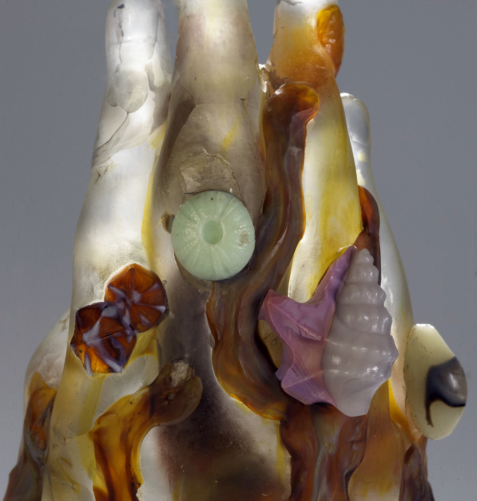 La Main aux algues et aux coquillages La Main aux algues et aux coquillages