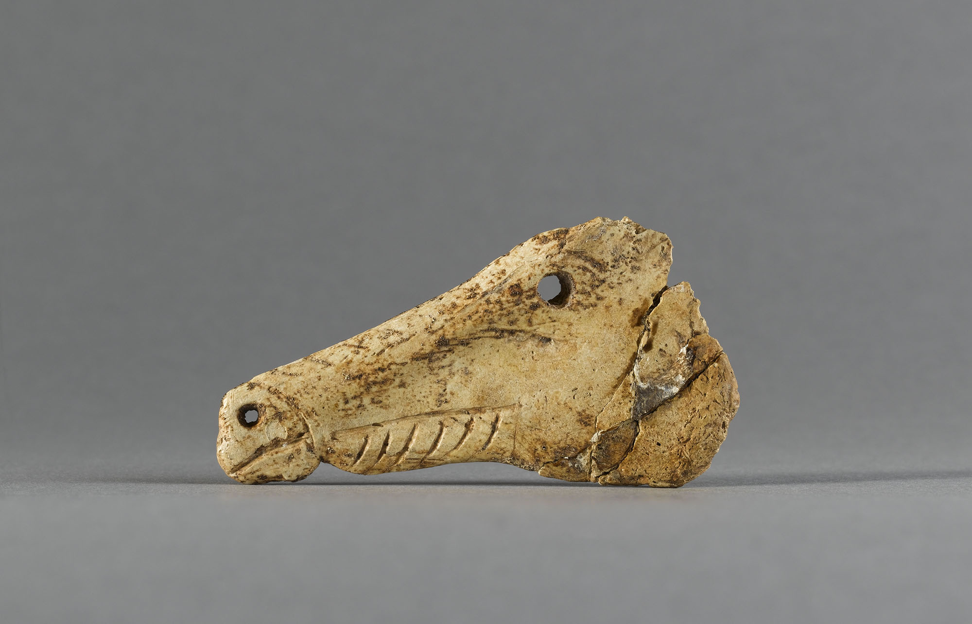 Contour découpé en forme de tête de cheval