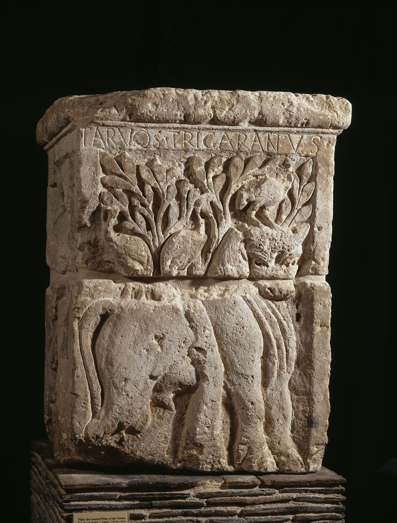 Le pilier des Nautes