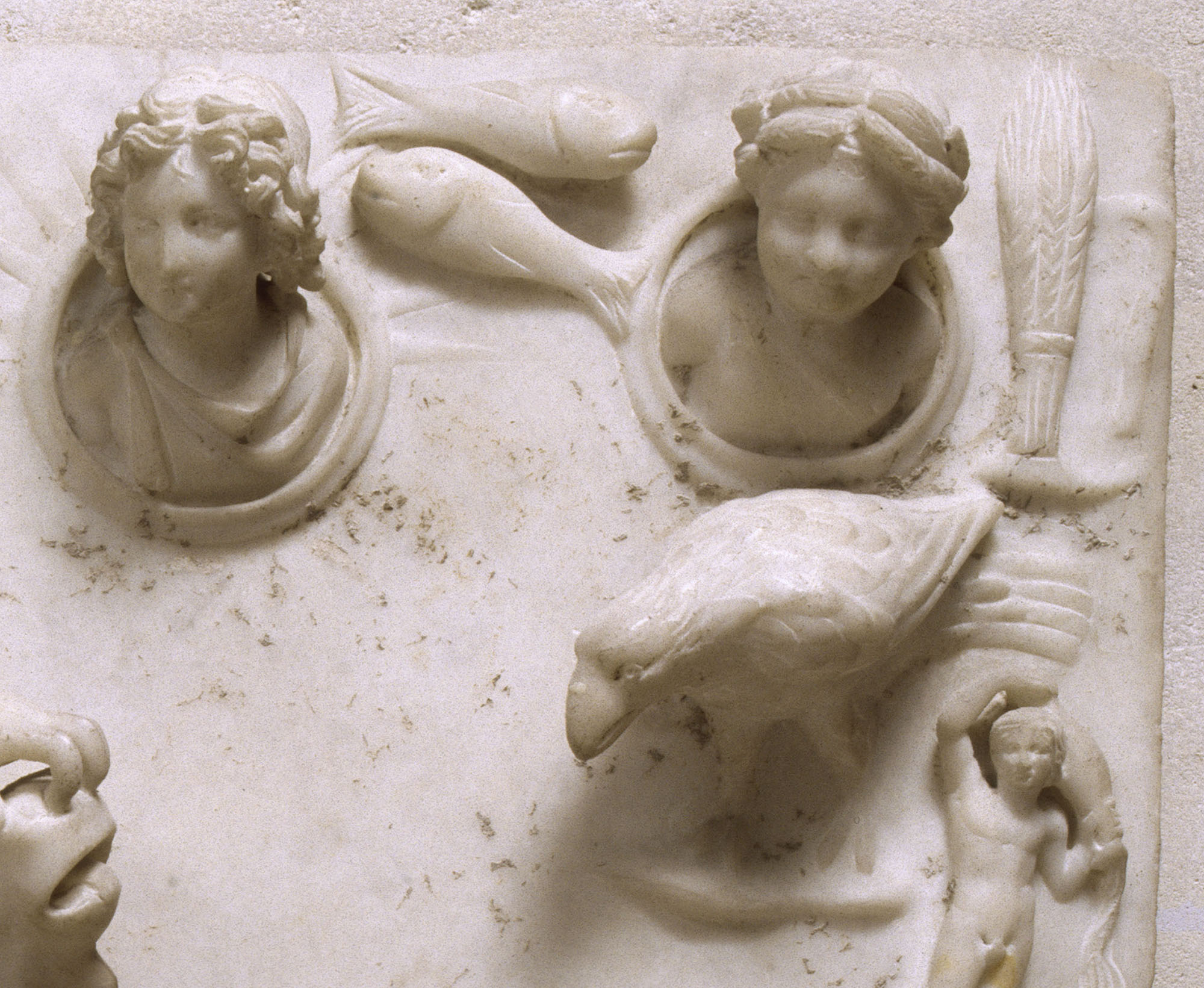 Mithra immolant le taureau Mithra immolant le taureau