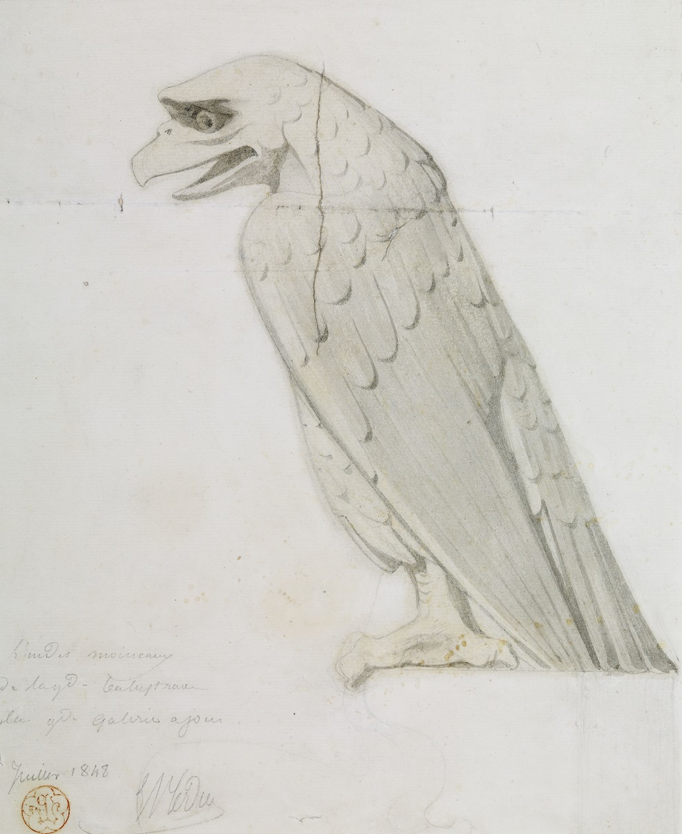 Cathédrale Notre-Dame de Paris, façade ouest, animal fantastique pour la balustrade de la galerie à jour