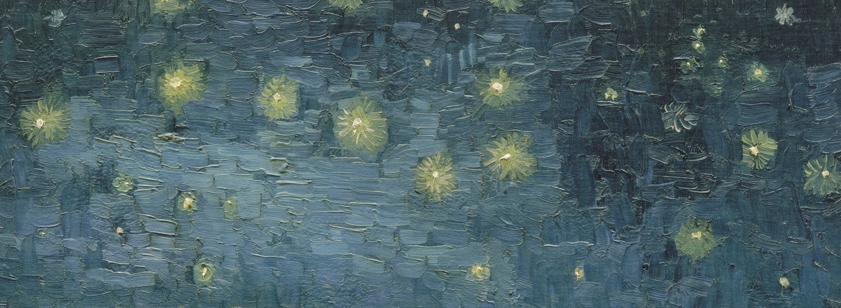 La Nuit étoilée La Nuit étoilée
