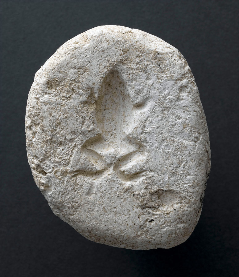 Moule en creux d'une grenouille