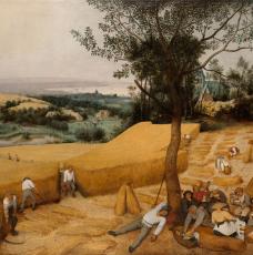 Les Moissonneurs - Brueghel