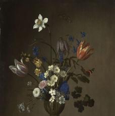 Vase avec des fleurs, à ses pieds il y a des coquillages ainsi qu'une sauterelle.
