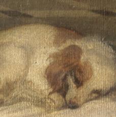 chien endormi