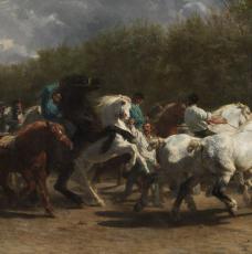 des chevaux avec des maquignons