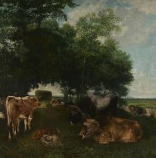 vaches et paysan dormant