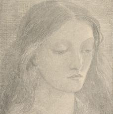 tête d'une jeune femme aux cheveux longs