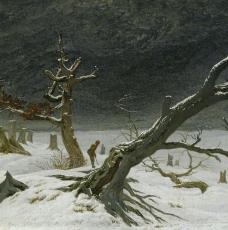arbre déchiquetés dans la neige