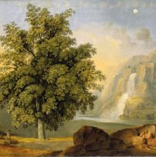 Paysage avec un arbre