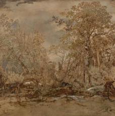 arbres 