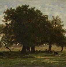 chênes