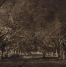 esquisse déssinée d'une allée arborée