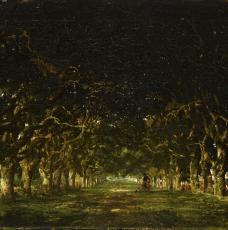 sous-bois avec un allée de chataigniers