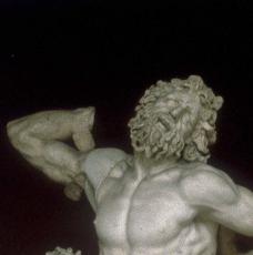 Le Laocoon Hagesandros, Polydoros et Athanadoros