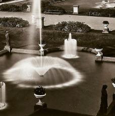 Jets d'eau dans un jardin