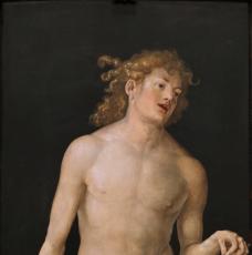 Albrecht Dürer (1471-1528), Adam. Pendant d’Ève. 1507, peinture (huile sur bois), 209 × 81 cm. Espagne, Madrid, musée national du Prado (P002177)