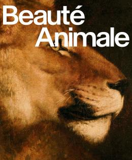 Beauté animale