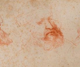 Trois études d'un visage d'homme barbu - Léonard de Vinci