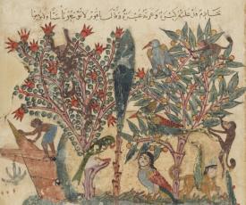 poissons, animaux fantastiques, singes