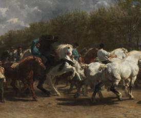 des chevaux avec des maquignons