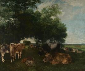 vaches et paysan dormant