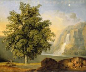 Paysage avec un arbre