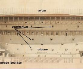 coupe du coliseeLe Colisée - Etat restauré, coupe sur le grand axe