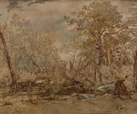 arbres 