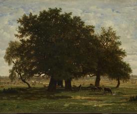 chênes