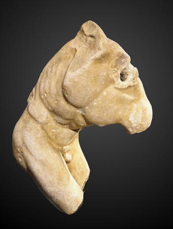 fragment d'un homme nu, torse, discobole