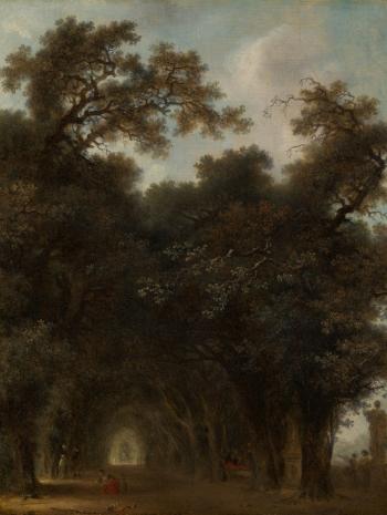 Allée d'arbres